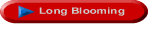 Long Blooming perennials